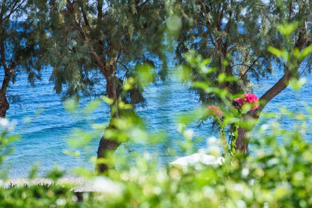 Aliki Studios Paralia Agias Foteinis Екстер'єр фото